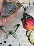 Brave Wings AB Pack