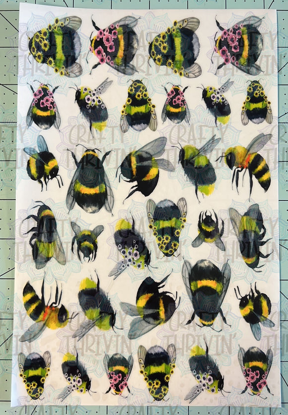 Fuzzy Bee AB Clear Cast Set -144