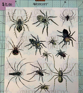 Creepin’ Spiders AB Clear Cast Set