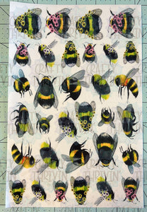 Fuzzy Bee AB Clear Cast Set -144