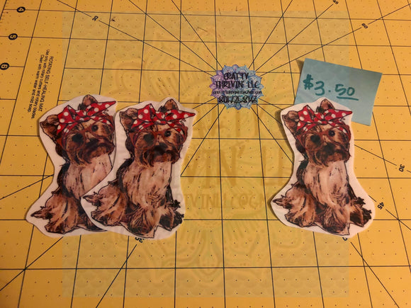 CC - Yorkie with Bow & Glasses
