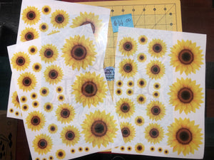 Sunflower Large Set